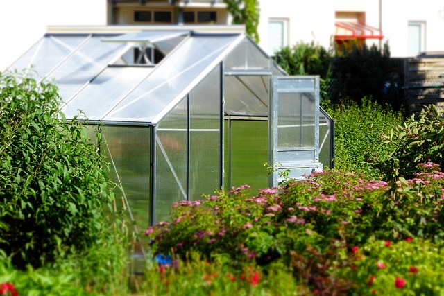 Lire la suite à propos de l’article Comment choisir une serre pour votre jardin ?