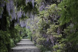 Lire la suite à propos de l’article Mettre une touche de décor dans le jardin