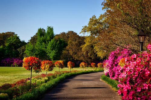 You are currently viewing Comment redonner vie à votre jardin?