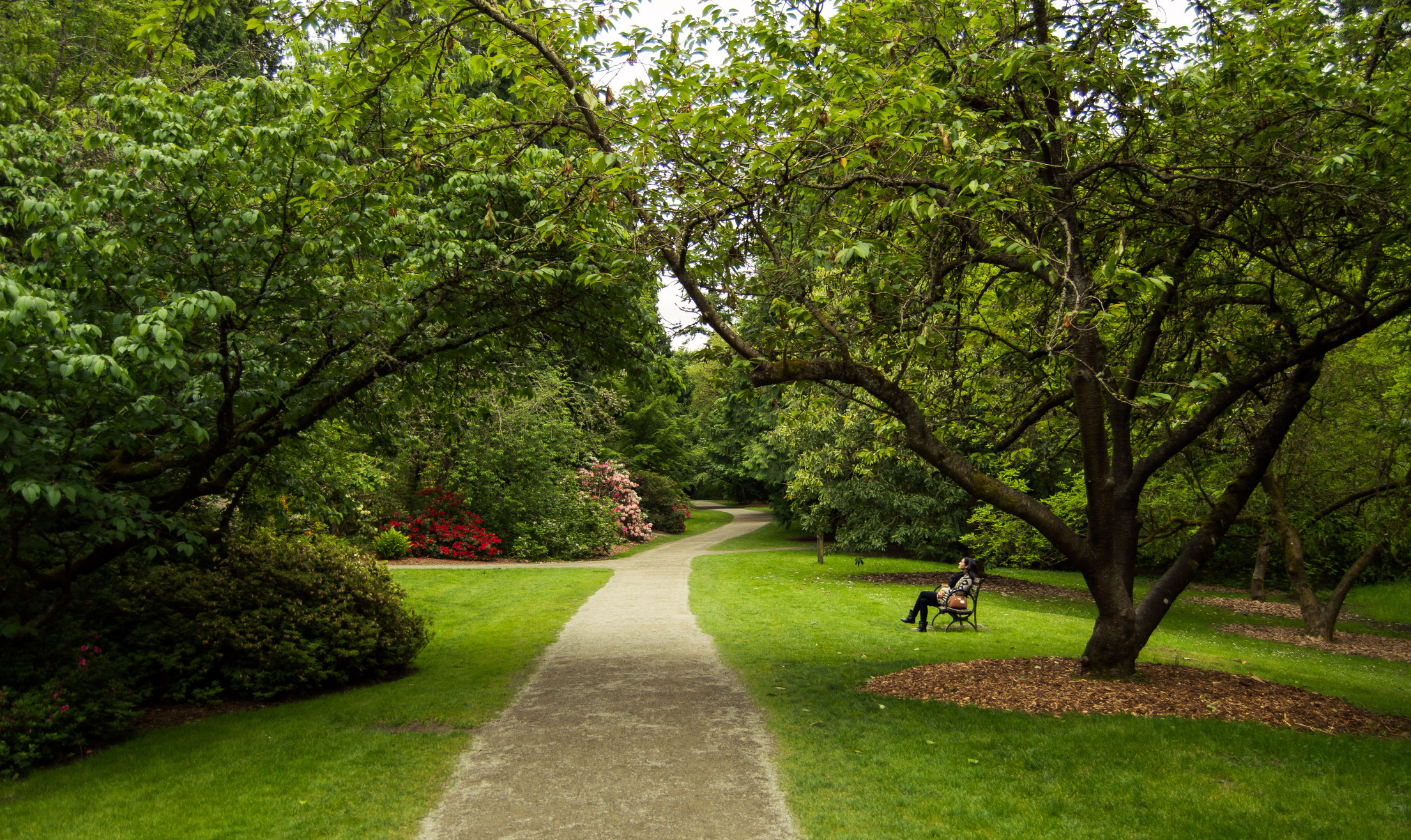 You are currently viewing Comment bien entretenir son jardin ?