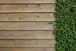 Lire la suite à propos de l’article Comment realiser un mur vegetal fait maison ?