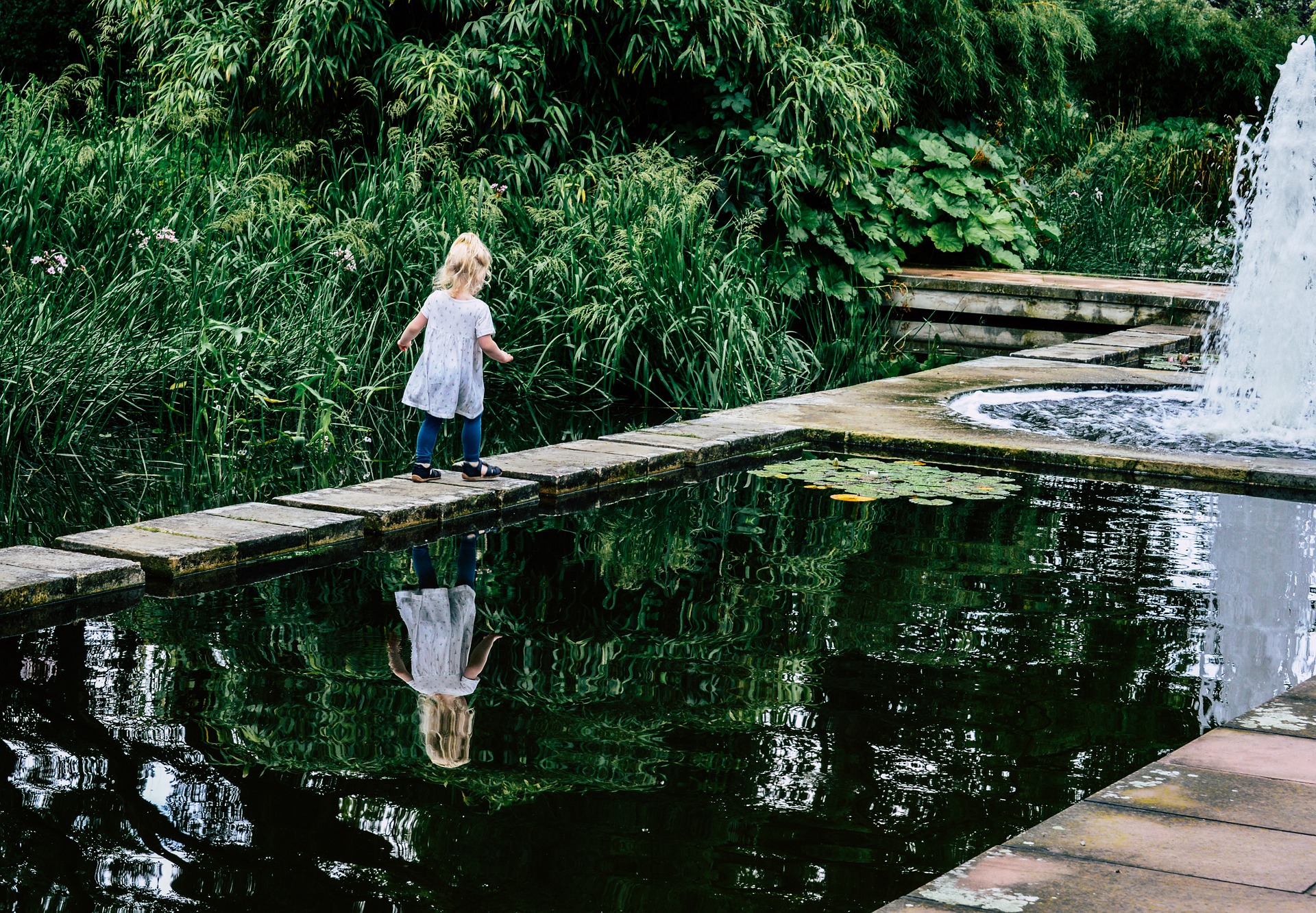 You are currently viewing Comment amenager un bassin dans son jardin ?