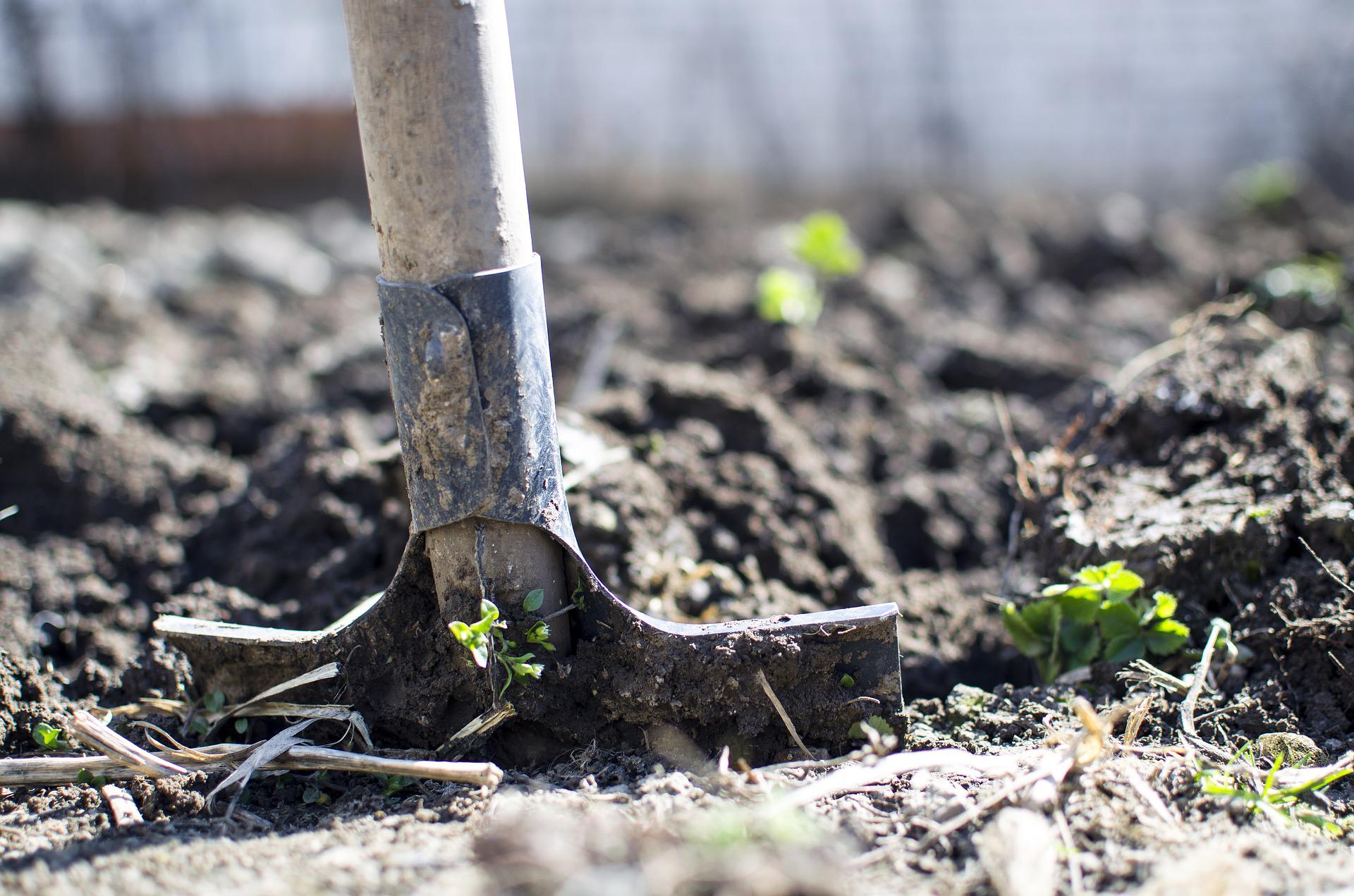 You are currently viewing Faire un potager : comment bien s’organiser ?