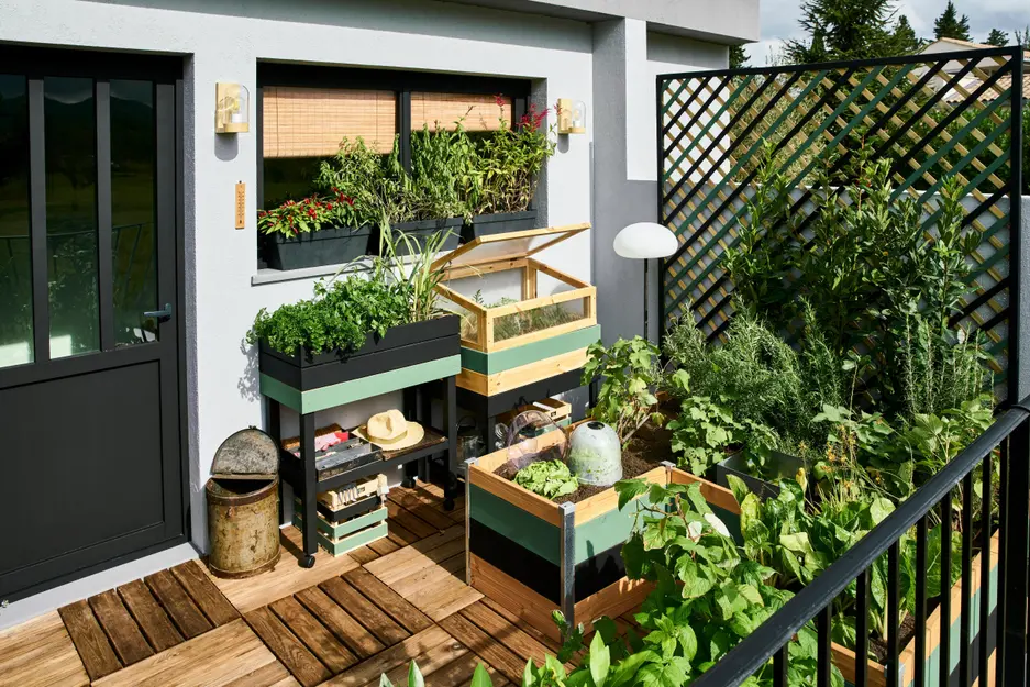 Lire la suite à propos de l’article Comment végétaliser au mieux son balcon ?