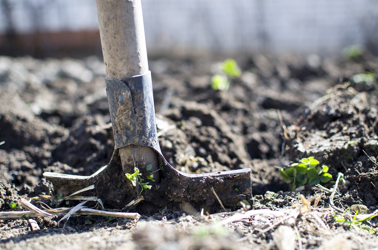 You are currently viewing Le travail du sol du jardin : Nos conseils