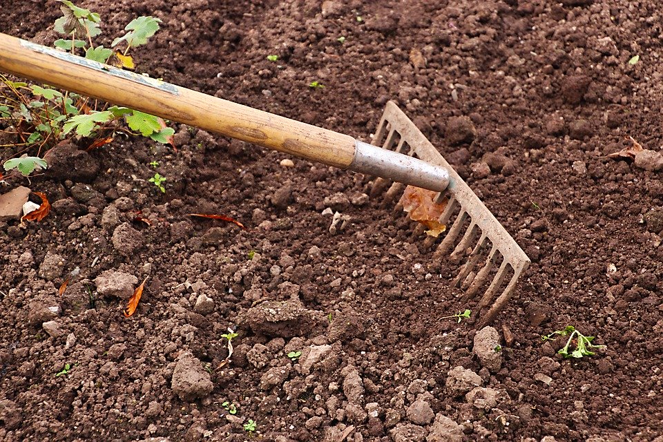 Lire la suite à propos de l’article Entretien du sol de jardin : Nourrissez-le d’un régime organique