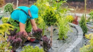 Lire la suite à propos de l’article Comment entretenir votre jardin très facilement